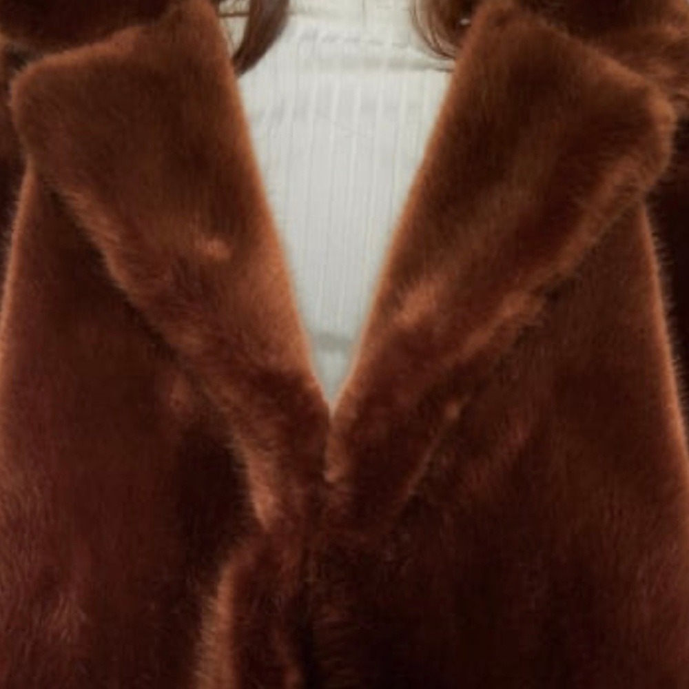 ZARA Faux Fur Coat:Brick, US  L - Picture 5 of 10